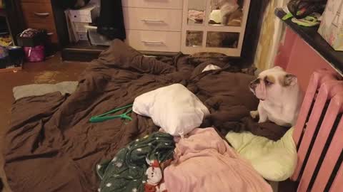 Snapshot of graylovescookies chatting on December 29, 2024, 3:03 pm graylovescookies online show from December 29, 2024, 3:03 pm