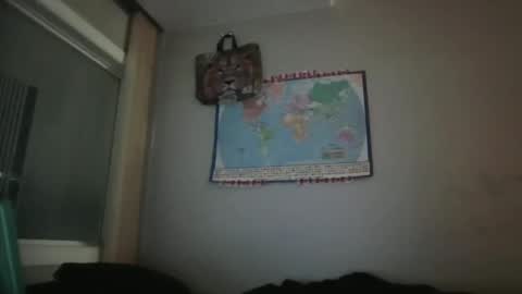 Snapshot of gregrev chatting on January 30, 2025, 7:07 am gregrev online show from January 30, 2025, 7:07 am