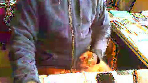 greyhounddog online show from June 11, 2026, 8:34 am
