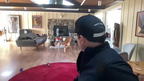 Snapshot of groovycouvie chatting on March 1, 2025, 10:42 pm groovycouvie online show from March 1, 2025, 10:42 pm