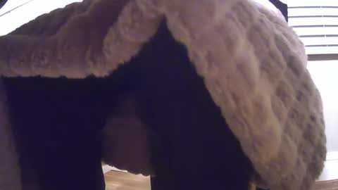 Snapshot of grower2153 chatting on November 24, 2025, 12:05 pm grower2153 online show from November 24, 2025, 12:05 pm