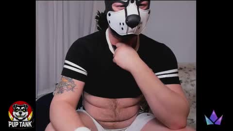 Alpha pup online show from December 15, 2025, 5:55 am