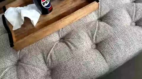 gt79802068 online show from April 19, 2026, 12:48 pm