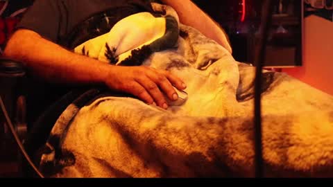 Snapshot of h0tttsteel chatting on December 18, 2024, 10:08 am h0tttsteel online show from December 18, 2024, 10:08 am