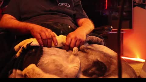 Snapshot of h0tttsteel chatting on December 18, 2024, 1:12 pm h0tttsteel online show from December 18, 2024, 1:12 pm