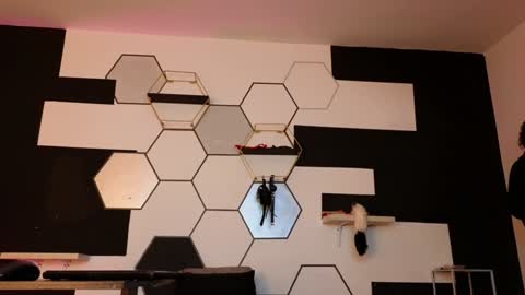 Snapshot of haileycat_ chatting on February 6, 2025, 2:33 am haileycat_ online show from February 6, 2025, 2:33 am