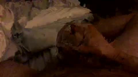 Bruce online show from February 4, 2026, 3:45 am