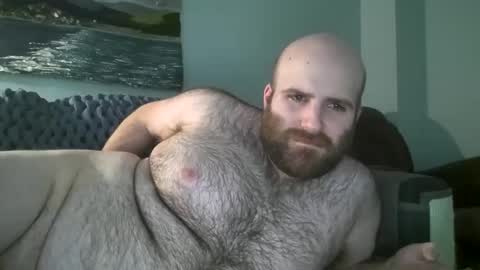 Hairiest Bear online show from January 14, 2025, 3:47 pm