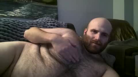 Hairiest Bear online show from January 17, 2025, 7:41 am