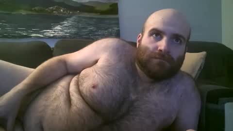 Hairiest Bear online show from January 20, 2025, 3:59 am