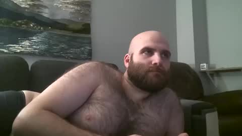 Hairiest Bear online show from January 25, 2025, 8:53 am