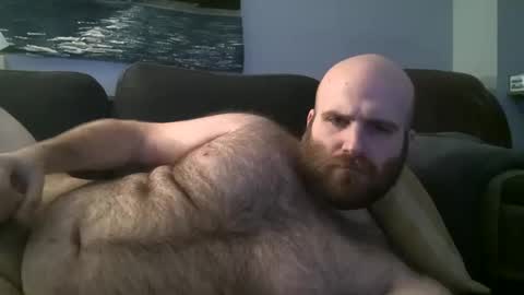 Hairiest Bear online show from January 26, 2025, 7:10 am