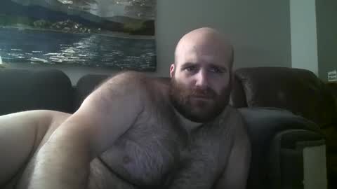 Hairiest Bear online show from January 30, 2025, 9:04 am