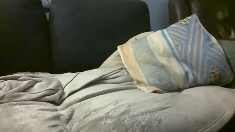 Hairiest Bear online show from February 18, 2025, 8:16 am