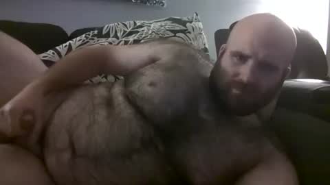 Hairiest Bear online show from October 6, 2025, 5:27 am