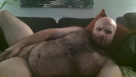 Hairiest Bear online show from October 7, 2025, 3:58 am