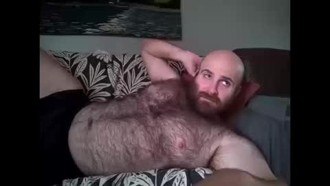 Hairiest Bear online show from October 11, 2025, 6:06 pm