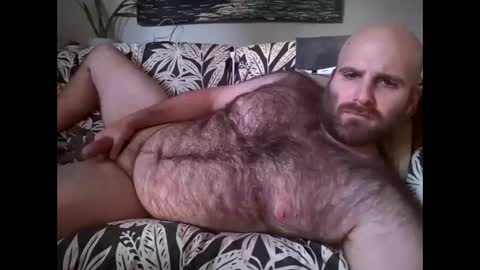 Hairiest Bear online show from October 28, 2025, 2:53 pm