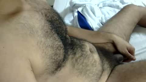 Snapshot of hairy_har chatting on April 9, 2026, 2:22 am hairy online show from April 9, 2026, 2:22 am