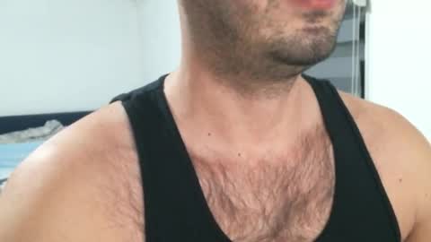 Snapshot of hairyeurostud chatting on February 1, 2026, 12:53 am Andy online show from February 1, 2026, 12:53 am