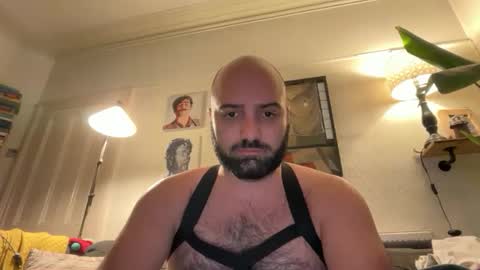 Snapshot of hairyleatherguy chatting on February 16, 2026, 9:44 pm Hairy Guy online show from February 16, 2026, 9:44 pm