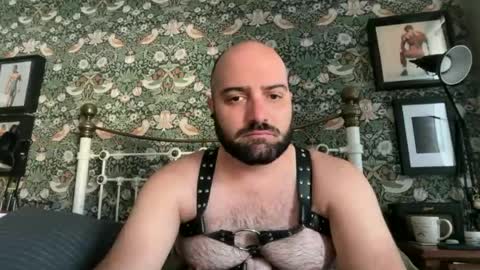 Snapshot of hairyleatherguy chatting on June 23, 2026, 8:23 am Hairy Guy online show from June 23, 2026, 8:23 am