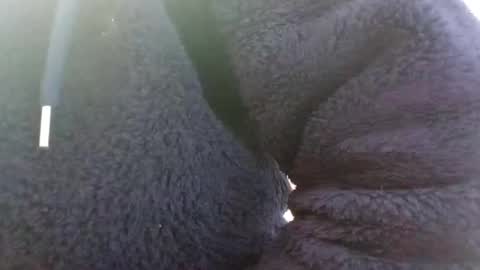 hairypussyxl online show from January 13, 2025, 5:33 am