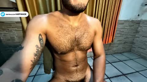 Snapshot of hairyshort chatting on January 14, 2025, 3:11 am hairy and short online show from January 14, 2025, 3:11 am