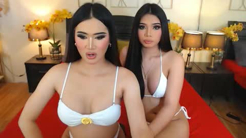 YOUR SIDECHIC HAILEY online show from October 6, 2025, 7:17 am