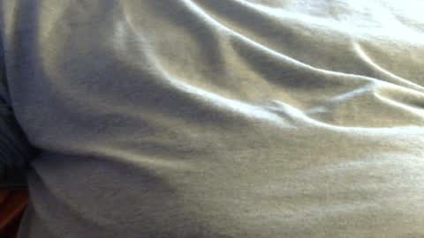 hamhead71 online show from January 28, 2025, 2:42 pm