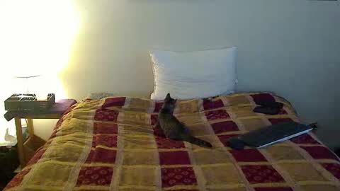 hammerthatthang73 online show from October 16, 2025, 6:53 pm