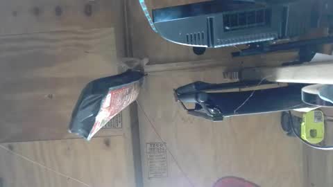 naked man online show from December 8, 2024, 5:39 am