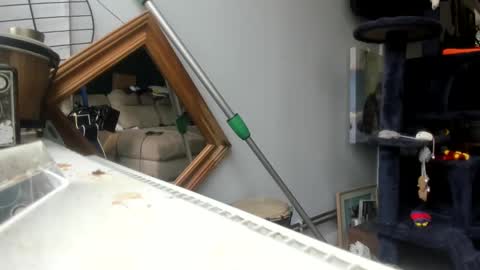 Snapshot of handncocknocum chatting on February 4, 2025, 11:16 am handncocknocum online show from February 4, 2025, 11:16 am