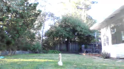 Snapshot of handysmurf chatting on December 4, 2024, 11:24 pm HandySmurf online show from December 4, 2024, 11:24 pm