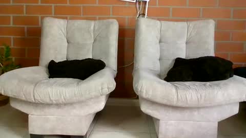 Snapshot of hanna_beily chatting on January 20, 2025, 6:32 pm hanna online show from January 20, 2025, 6:32 pm