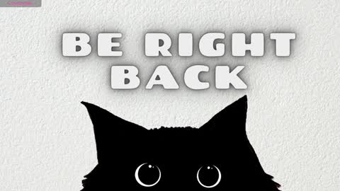 Hanna online show from February 4, 2025, 12:08 am