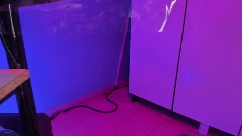 hannyk_ online show from February 12, 2026, 11:38 am