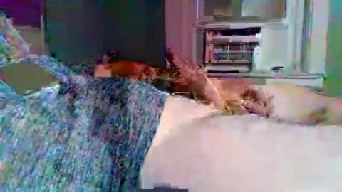 Snapshot of hardcockoncam22 chatting on November 3, 2025, 2:02 am cervixpainter25 online show from November 3, 2025, 2:02 am