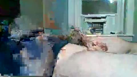 Snapshot of hardcockoncam22 chatting on November 30, 2025, 6:50 am cervixpainter25 online show from November 30, 2025, 6:50 am