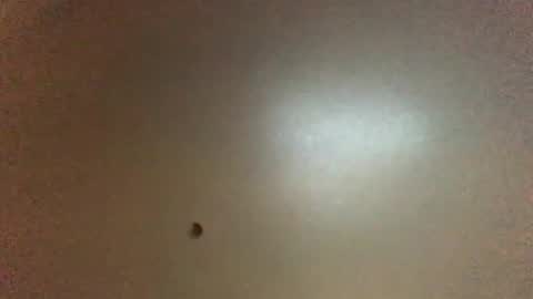 Snapshot of hardforyou3030 chatting on February 1, 2026, 11:36 pm For You online show from February 1, 2026, 11:36 pm