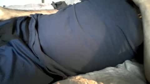 Snapshot of hardnick696 chatting on February 19, 2025, 11:14 pm hardnick696 online show from February 19, 2025, 11:14 pm