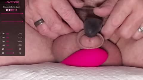 Snapshot of harfang23 chatting on January 31, 2025, 8:01 am Paul online show from January 31, 2025, 8:01 am