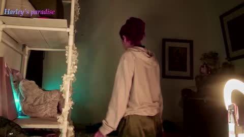 Snapshot of harleyparadise chatting on November 29, 2025, 6:49 am 900 am to 300 pm - GTM 5 Weekdays online show from November 29, 2025, 6:49 am