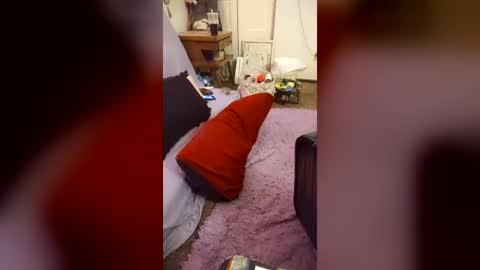 Snapshot of harleyszaddy chatting on June 15, 2026, 7:54 am harleyszaddy online show from June 15, 2026, 7:54 am