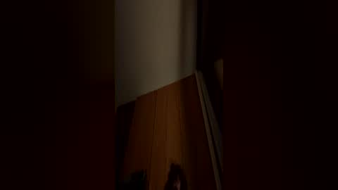Snapshot of harlithe chatting on July 6, 2026, 1:46 am harlithe online show from July 6, 2026, 1:46 am