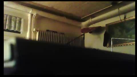 Snapshot of hartwichser1 chatting on December 8, 2024, 3:24 pm hot n nasty online show from December 8, 2024, 3:24 pm