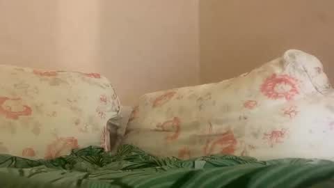 dee online show from January 27, 2025, 4:09 am