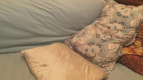 havedream1m online show from December 17, 2024, 12:11 pm