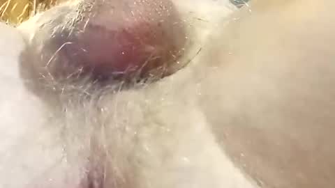 hcross2448 online show from February 22, 2025, 3:01 am