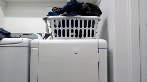 hdrsh08 online show from April 15, 2026, 4:41 am